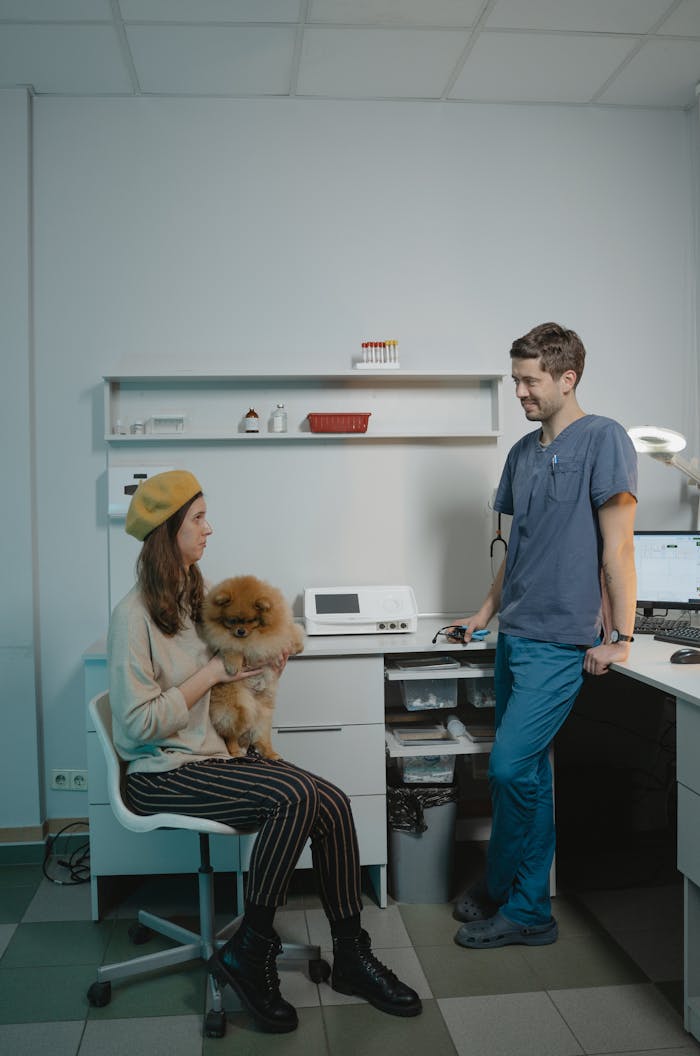 Woman and vet with Pomeranian in a veterinary clinic for checkup.
